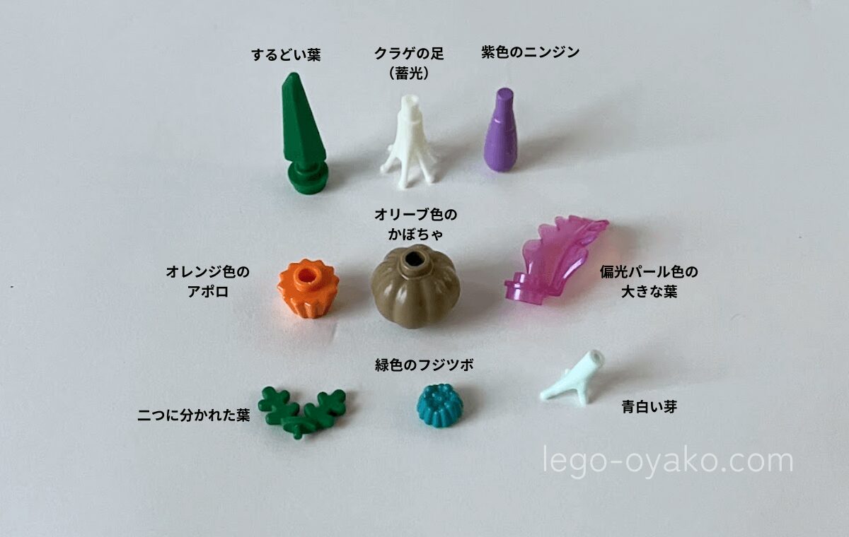 レゴ®サンゴ礁(40783)に使われている珍しいパーツの写真